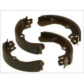 Bremsbackensatz C06011ABE