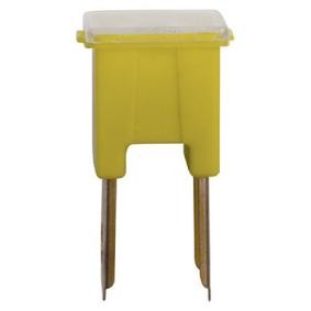 Sicherung von RESTAGRAF für PAJERO II Canvas Top (V2_W, V4_W) günstig online kaufen