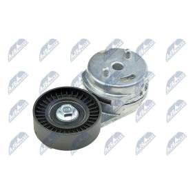Comprar Rodillo guía / desviación, correa trapecial de NTY RRK-CH-001 a bajo precio de 59,24 €