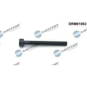 Schraube, Einspritzdüsenhalter DRM01063 VOLKSWAGEN MULTIVAN von DR.MOTOR AUTOMOTIVE
