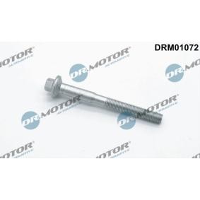 Osta Ruuvi ruiskutussuutinpidike DR.MOTOR AUTOMOTIVE:llä DRM01072 edullisesti hintaan 3,89 €