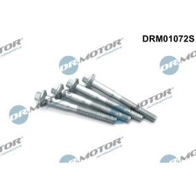 Osta Ruuvi ruiskutussuutinpidike DR.MOTOR AUTOMOTIVE:llä DRM01072S edullisesti hintaan 11,61 €