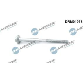 Osta Ruuvi ruiskutussuutinpidike DR.MOTOR AUTOMOTIVE:llä DRM01078 edullisesti hintaan 5,81 €