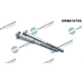 Osta Ruuvi ruiskutussuutinpidike DR.MOTOR AUTOMOTIVE:llä DRM01079S edullisesti hintaan 9,10 €