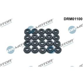 Achetez des Joint d'étanchéité, boulon de couvercle de culasse DR.MOTOR AUTOMOTIVE DRM01100 à prix pour 23,40 €