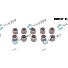 Osta Korjaussarja, ilmastointi DR.MOTOR AUTOMOTIVE:llä DRM01113 edullisesti hintaan 39,13 €
