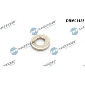 Köp O-ring, instrutning av DR.MOTOR AUTOMOTIVE DRM01125 till det låga priset 38,79 kr