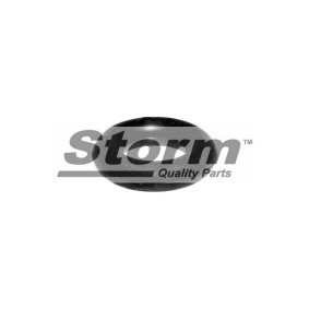 Compre Soporte de tubo de escape de STORM QUALITY PARTS online para TALENTO Furgón (290) a precios moderados