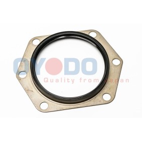 Wellendichtring, Differential 30P1008-OYO