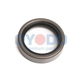 Wellendichtring, Differential 30P1009-OYO
