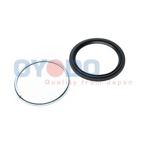 Wellendichtring, Differential 30P1011-OYO