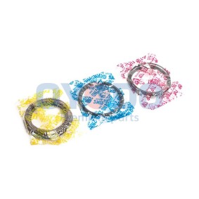 Compre Segmentos de pistón de Oyodo online para MAXIMA QX (A33) a precios moderados