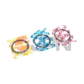Compre Jogo de segmentos do êmbolo da JPN 40M0504.000-JPN a um preço baixo por 36,51 €