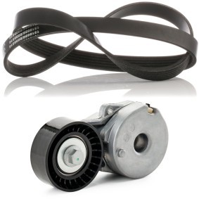 Achetez des Jeu de courroies trapézoïdales à nervures RIDEX 542R1060 à prix pour 90,63 €