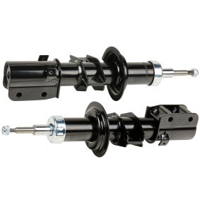 Stoßdämpfer von RIDEX 854S18287