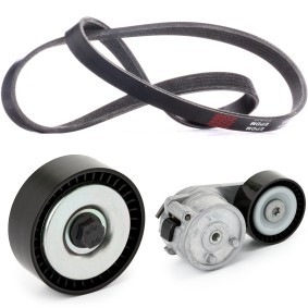 Achetez des Jeu de courroies trapézoïdales à nervures RIDEX 542R1069 à prix pour 66,02 €