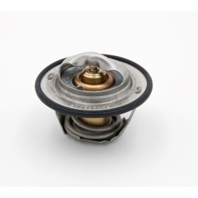 Achetez des Thermostat d'eau IVECO 504380075 à prix pour 56,82 €