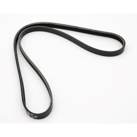 Achetez des Courroie Poly-V IVECO 5802102131 à prix pour 48,43 €