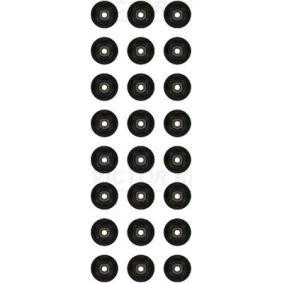 Comprar Juego de juntas, vástago de válvula de REINZ 12-19295-02 a bajo precio de 61,26 €