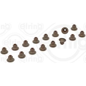 Dichtungssatz, Ventilschaft 976.770