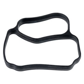 Dichtung, Thermostatgehäuse 176385 für RENAULT TRUCKS