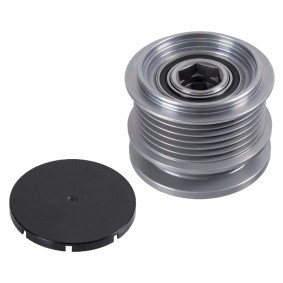 Generatorfreilauf 176796 für CHRYSLER