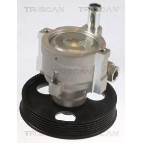 Servopumpe von TRISCAN