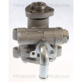 Servopumpe von TRISCAN