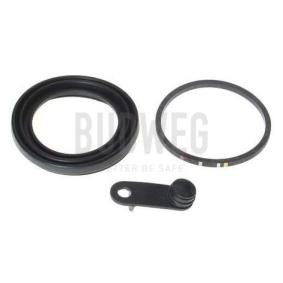 Acquista Guarnizione, Pistoncino pinza freno da BUDWEG CALIPER 189955 a buon mercato per soli 7,88 €