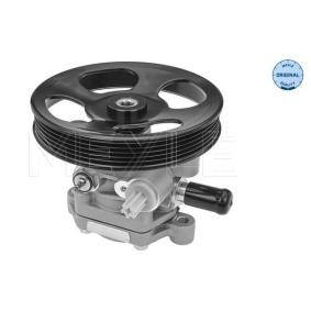 Servopumpe 32-14 631 0004