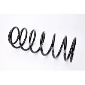 Fahrwerksfeder S00001MT von Magnum Technology günstig für 25,81 € online kaufen