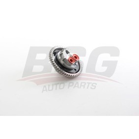 Osta Öljypumppu BSG:llä BSG 30-101-012 edullisesti hintaan 213,26 €