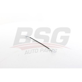 Achetez des Bande de retenue, revêtement de coffre à bagages BSG BSG 30-976-010 à prix pour 24,59 €