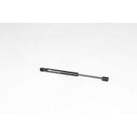 Osta Kaasujousi, tavaratila BSG:llä BSG 40-980-060 edullisesti hintaan 39,89 €