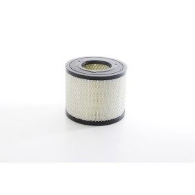 Kjøp Luftfilter av BSG BSG 41-135-001 til den lave prisen 557,41 NOK