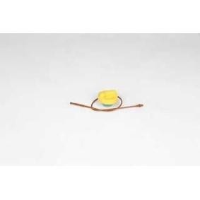 Achetez des Bouchon de remplissage d'huile BSG BSG 75-123-011 à prix pour 24,50 €