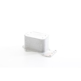 Kjøp Oljekjøler, motorolje av BSG BSG 90-506-018 til den lave prisen 1423,43 NOK