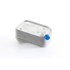 Kjøp Oljekjøler, motorolje av BSG BSG 90-506-021 til den lave prisen 1170,78 NOK