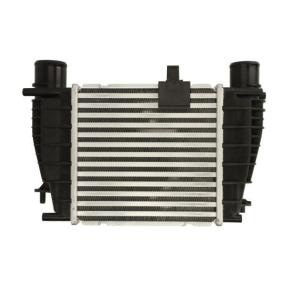 Köp Intercooler av THERMOTEC DA1008TT till det låga priset 1187,96 kr