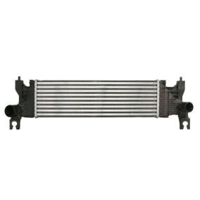 Köp Intercooler av THERMOTEC DA8002TT till det låga priset 1020,31 kr