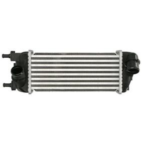 Köp Intercooler av THERMOTEC DAF015TT till det låga priset 1015,82 kr