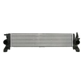 Köp Intercooler av THERMOTEC DAM034TT till det låga priset 1311,92 kr