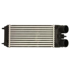 Köp Intercooler av THERMOTEC DAP007TT till det låga priset 957,29 kr