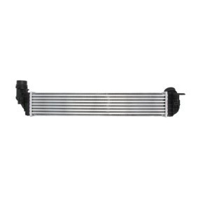 Osta Nestesäiliö, jäähdytysneste THERMOTEC:llä DBR017TT edullisesti hintaan 28,60 €