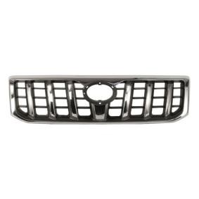 Kühlergrill 6502-07-8136990P