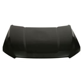 Motorhaube 6803-00-2593280AP