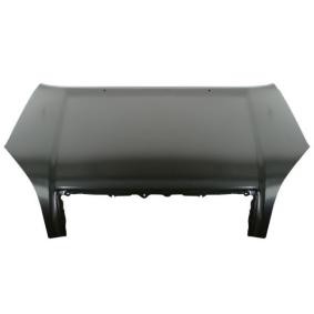 Motorhaube 6803-00-8136281P