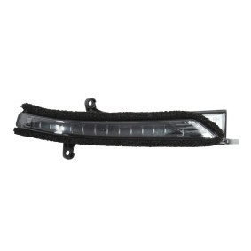 Blinker 019-46-862S