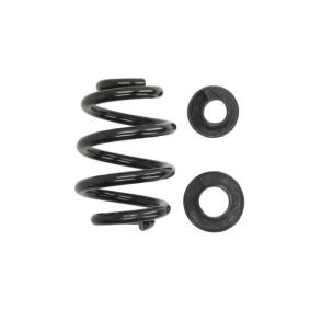 Fahrwerksfeder SW116MT