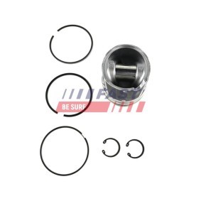 Achetez des Piston FAST FT47022/0 à prix pour 154,72 €